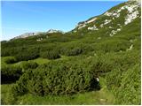 Planina Ravne - Kocbekov dom na Korošici